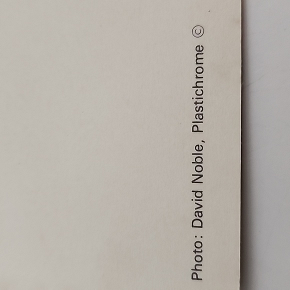 Vintage Capsco Washington D. C. Post Cards 11 Count - Picture 11 of 13